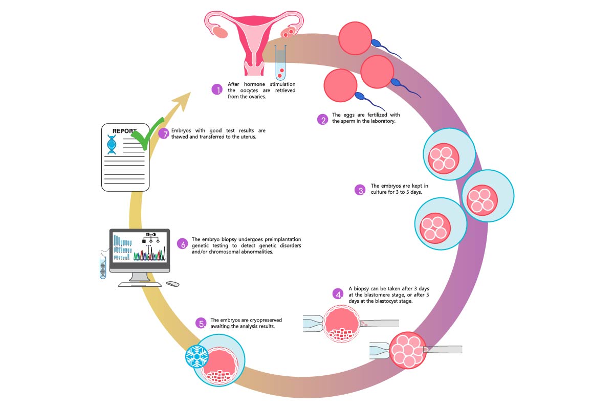 PGT Process Cycle