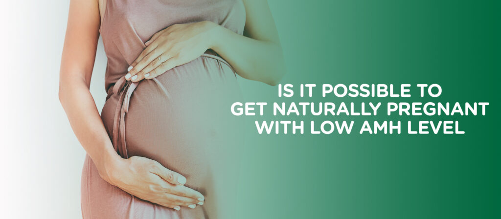 Natural pregnancy with low amh levels