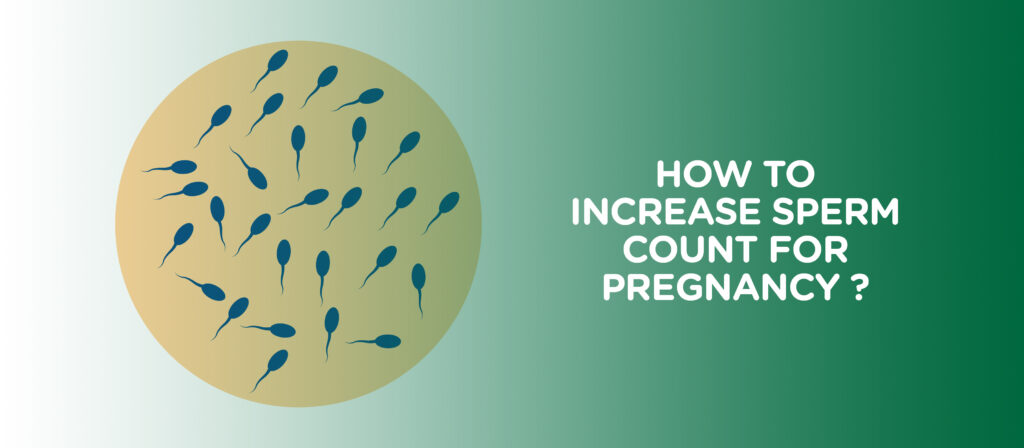 How to increase sperm count for pregnancy