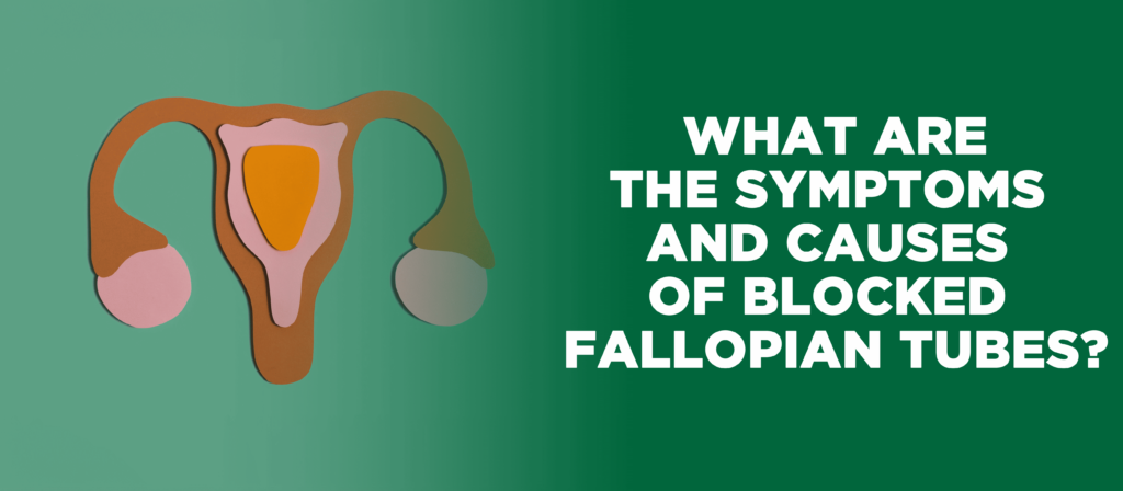 Blocked fallopian tubes symptoms and causes