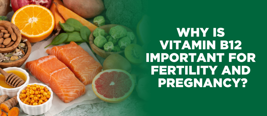 Vitamin B12-rich foods for fertility and pregnancy