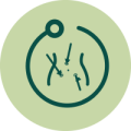 Minimal Access Surgery (2) Minimal Access Surgery (2)